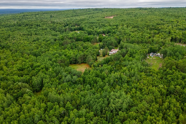 230 W Old Main Rd, Lowell, ME 04493 - drone / aerial view of a heavily wooded area