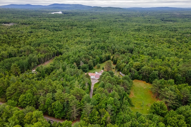 230 W Old Main Rd, Lowell, ME 04493 - aerial view of property and surrounding area featuring a heavily wooded area and a mountain backdrop