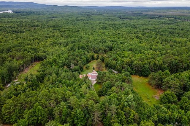 230 W Old Main Rd, Lowell, ME 04493 - bird's eye view of a forest