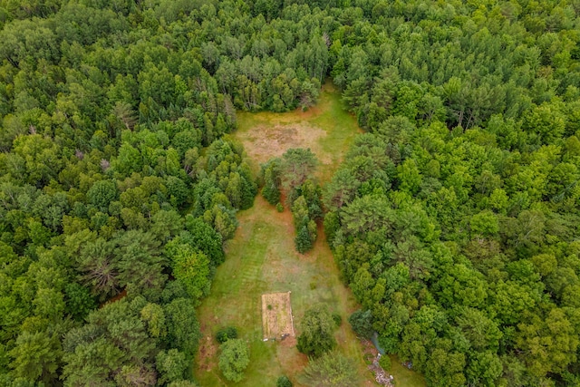 230 W Old Main Rd, Lowell, ME 04493 - view of property location with a heavily wooded area
