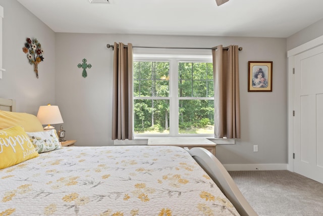 15 Cider Mill Ln, Standish, ME 04084 - photo 47