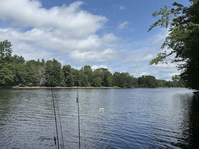 19 Eaton Rd, Standish, ME 04084 - photo 54