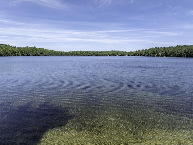 174 Cottage Rd, Northfield, ME 04654 - photo 9