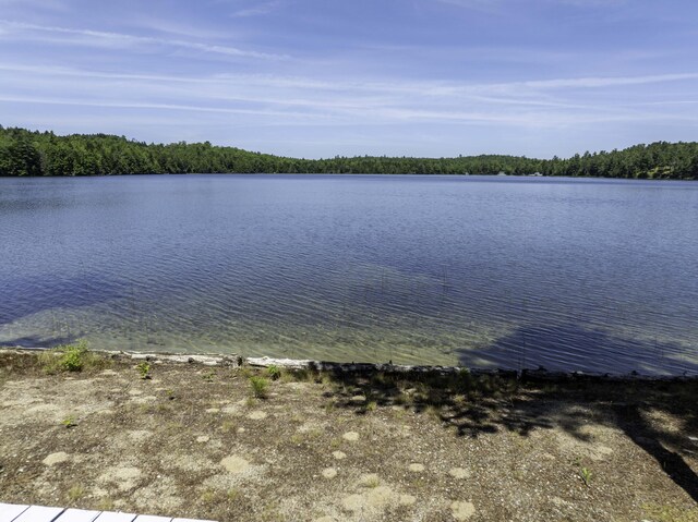 174 Cottage Rd, Northfield, ME 04654 - photo 16