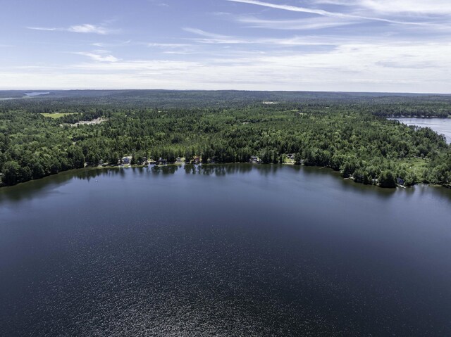 174 Cottage Rd, Northfield, ME 04654 - photo 17