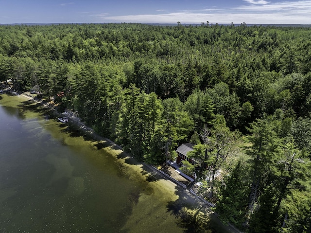 174 Cottage Rd, Northfield, ME 04654 - photo 22