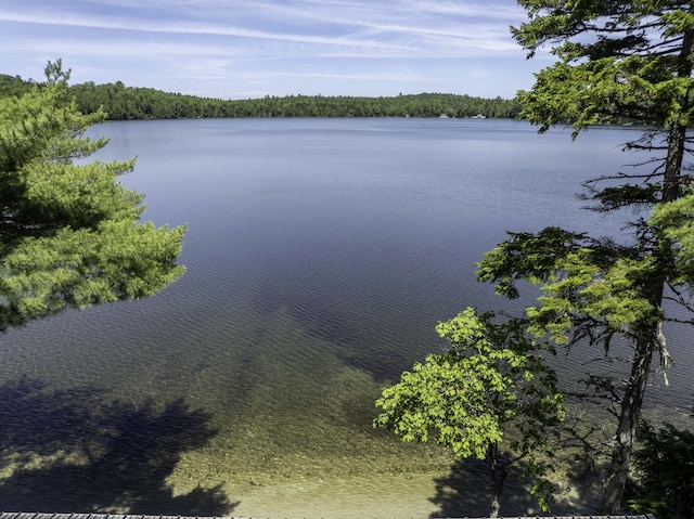 174 Cottage Rd, Northfield, ME 04654 - photo 26