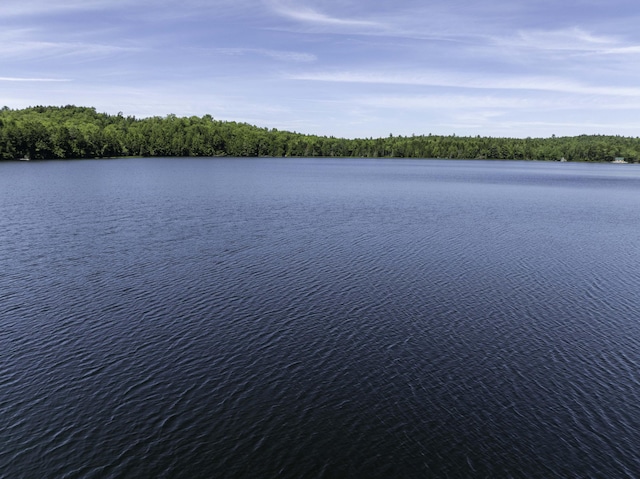 174 Cottage Rd, Northfield, ME 04654 - photo 32