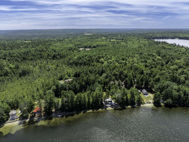 174 Cottage Rd, Northfield, ME 04654 - photo 33