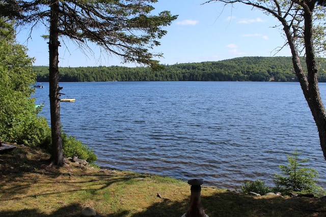 54 Oak Ln, Alexander, ME 04694 - photo 15