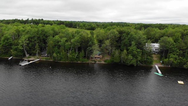 54 Oak Ln, Alexander, ME 04694 - photo 72