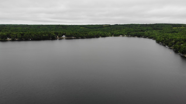 54 Oak Ln, Alexander, ME 04694 - photo 7