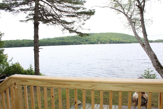 54 Oak Ln, Alexander, ME 04694 - photo 81