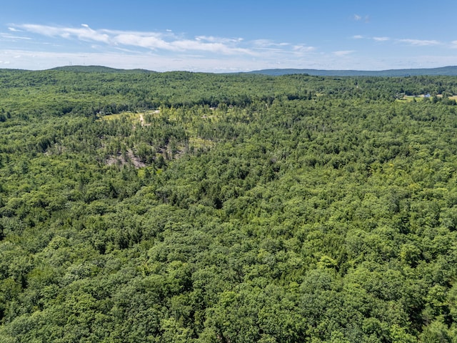 M13L30 Clarks Bridge Rd, Waterboro, ME 04061 - photo 16