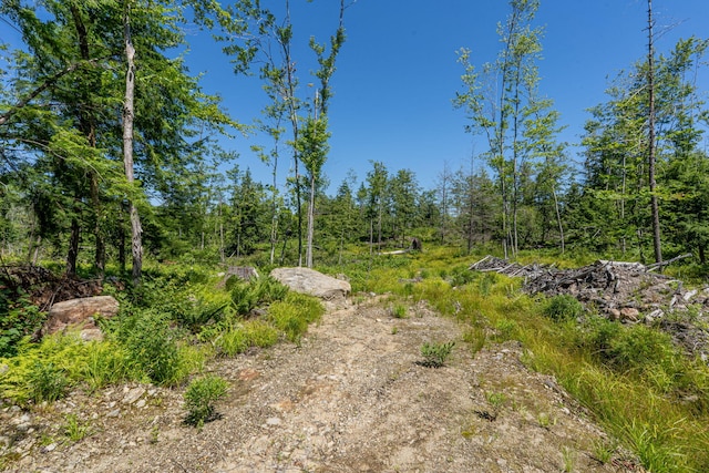 M13L30 Clarks Bridge Rd, Waterboro, ME 04061 - photo 8