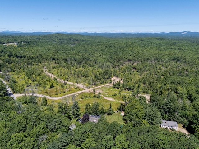 M13L30 Clarks Bridge Rd, Waterboro, ME 04061 - photo 1