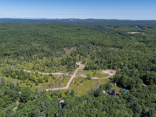 M13L30 Clarks Bridge Rd, Waterboro, ME 04061 - photo 2