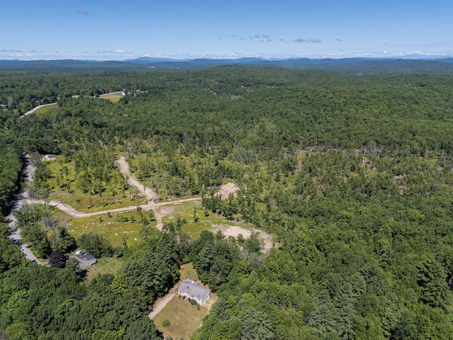 M13L30 Clarks Bridge Rd, Waterboro, ME 04061 - photo 15