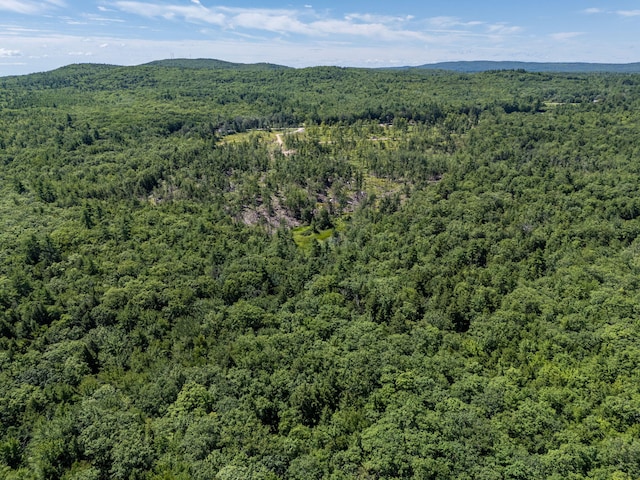 M13L30 Clarks Bridge Rd, Waterboro, ME 04061 - photo 19
