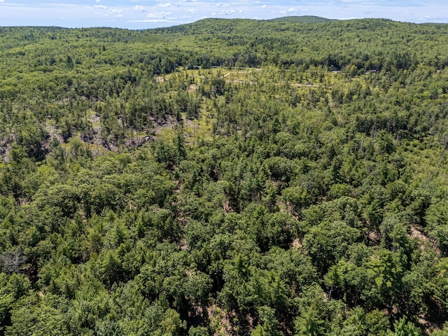 M13L30 Clarks Bridge Rd, Waterboro, ME 04061 - photo 21