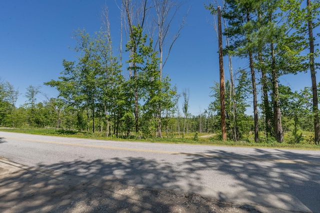M13L30 Clarks Bridge Rd, Waterboro, ME 04061 - photo 13
