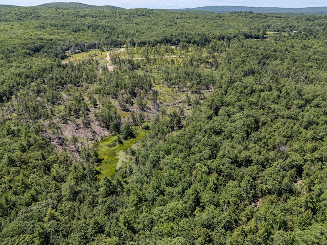 M13L30 Clarks Bridge Rd, Waterboro, ME 04061 - photo 22
