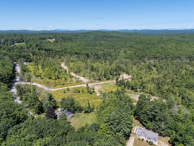 M13L30 Clarks Bridge Rd, Waterboro, ME 04061 - photo 14