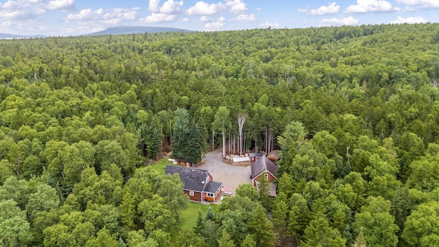 657 Bemis Rd, Rangeley Plt, ME 04970 - photo 62
