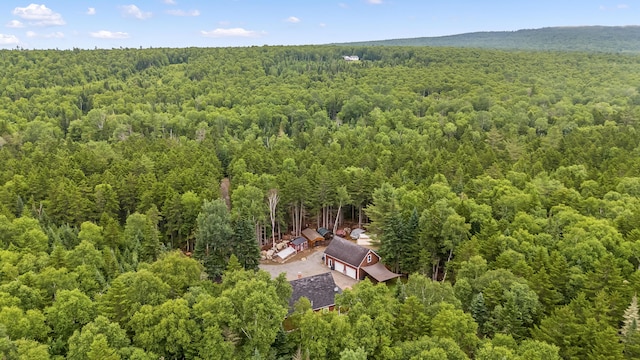 657 Bemis Rd, Rangeley Plt, ME 04970 - photo 53