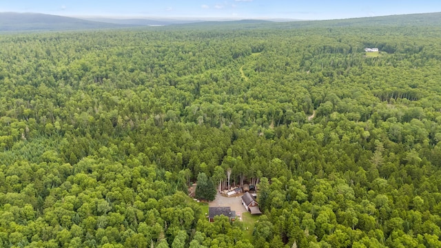 657 Bemis Rd, Rangeley Plt, ME 04970 - photo 54