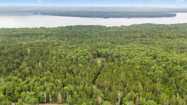 657 Bemis Rd, Rangeley Plt, ME 04970 - photo 57