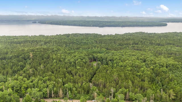 657 Bemis Rd, Rangeley Plt, ME 04970 - photo 58