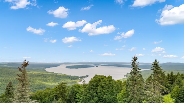 657 Bemis Rd, Rangeley Plt, ME 04970 - photo 52