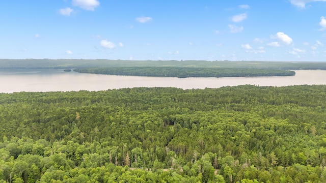 657 Bemis Rd, Rangeley Plt, ME 04970 - photo 59