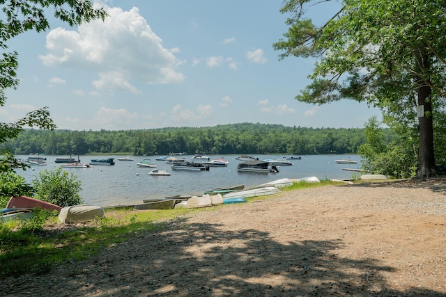 290 Gore Rd, Naples, ME 04055 - photo 30