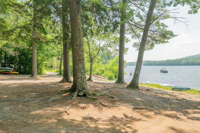 290 Gore Rd, Naples, ME 04055 - photo 32