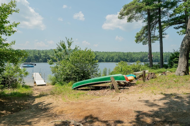 290 Gore Rd, Naples, ME 04055 - photo 33