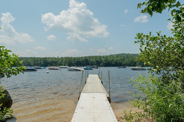290 Gore Rd, Naples, ME 04055 - photo 34