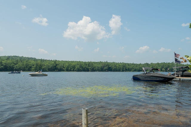 290 Gore Rd, Naples, ME 04055 - photo 35