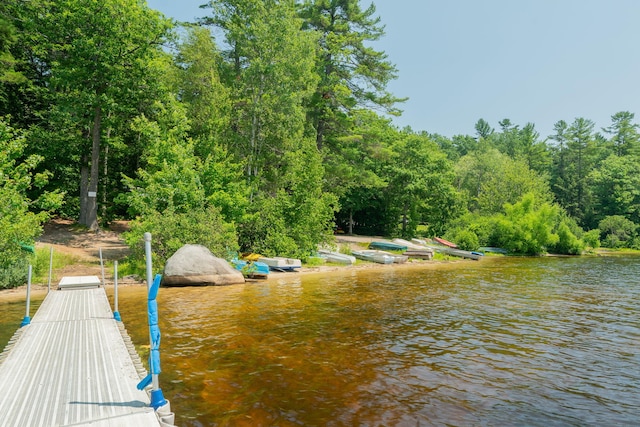 290 Gore Rd, Naples, ME 04055 - photo 36