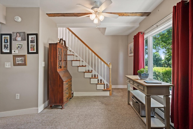 200 14th St, Bangor, ME 04401 - photo 20