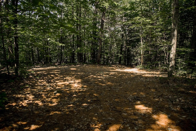 208 Rover Rd, Dixfield, ME 04224 - photo 9