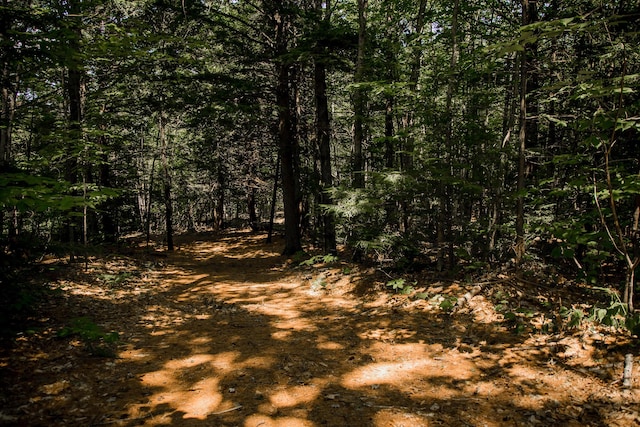 208 Rover Rd, Dixfield, ME 04224 - photo 10