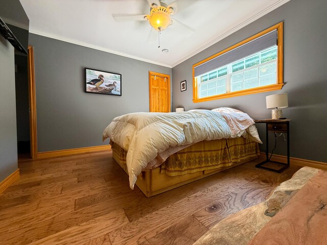 668 W Rd, Portage Lake, ME 04768 - photo 19