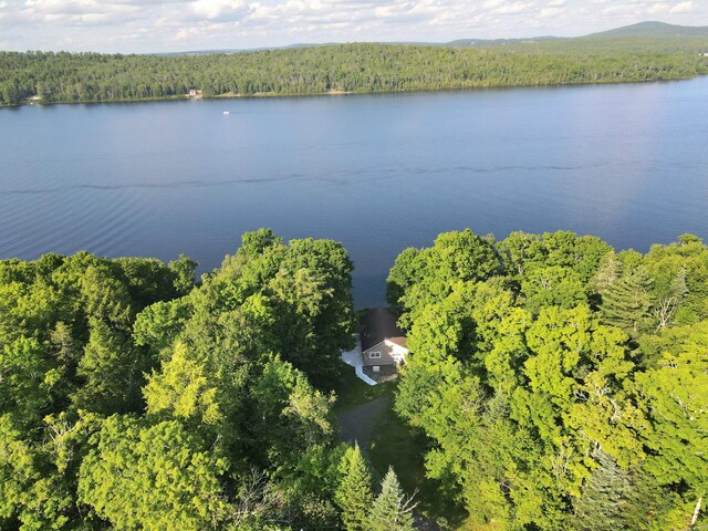 668 W Rd, Portage Lake, ME 04768 - photo 45