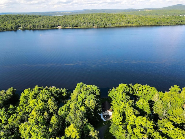 668 W Rd, Portage Lake, ME 04768 - photo 47