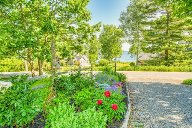 39 Broadway, Northport, ME 04849 - photo 40