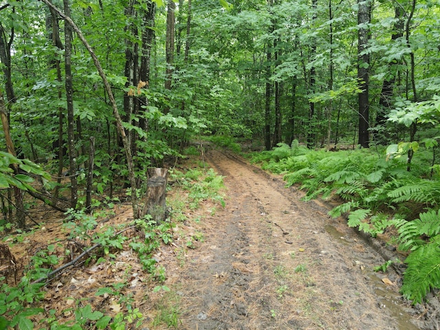 0 N St, Mechanic Falls, ME 04256 - photo 18