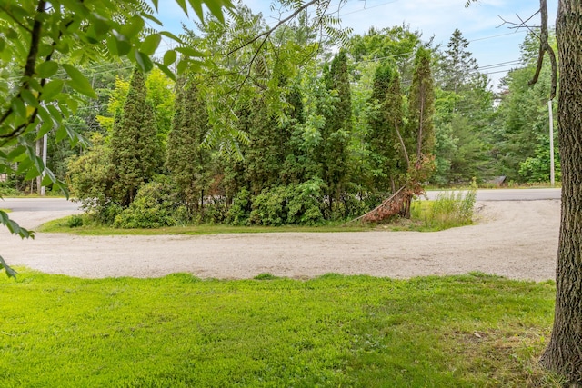36 Kelley Rd, Orono, ME 04473 - photo 39