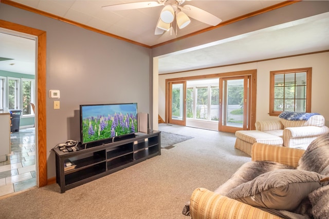 36 Kelley Rd, Orono, ME 04473 - photo 45